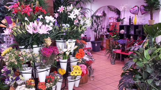 Tiendas de flores baratas en Valencia