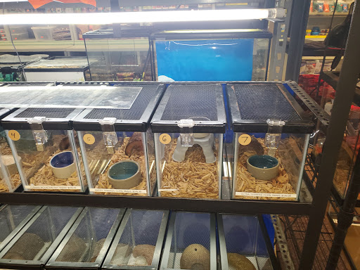 Pet Store «Wet Pet & Reptile Center», reviews and photos, 429 Eastern Blvd, Essex, MD 21221, USA