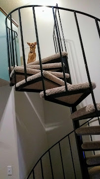 Kent Hill All Ages Tutoring & Discipline