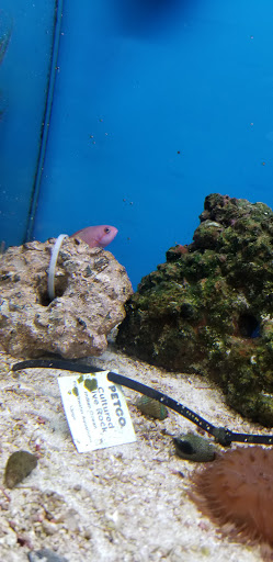 Pet Supply Store «Petco Animal Supplies», reviews and photos, 3430 W State St, Grand Island, NE 68803, USA