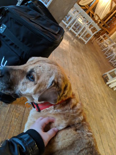 Event Venue «Rivercrest Farm», reviews and photos, 6612 Boy Scout Rd NE, Dover, OH 44622, USA