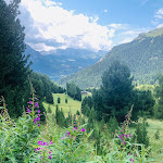 Photo n°5 de l'avis de Martine.h fait le 30/12/2019 à 13:56 sur le  Alpenroyal Grand Hotel à Sëlva