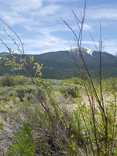 Grocery Store «Twin Lakes General Store», reviews and photos, 6451 CO-82, Twin Lakes, CO 81251, USA