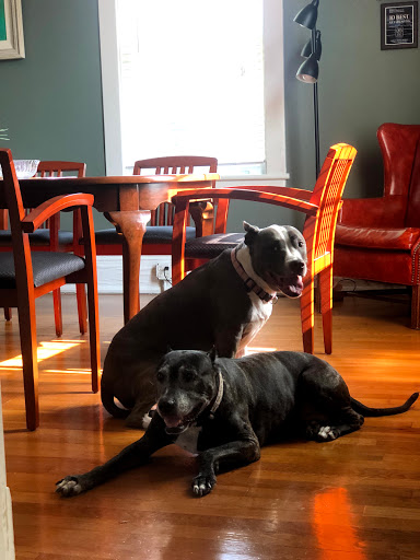 Divorce Lawyer «The Law Offices of Ashley-Nicole Russell, P.A.», reviews and photos