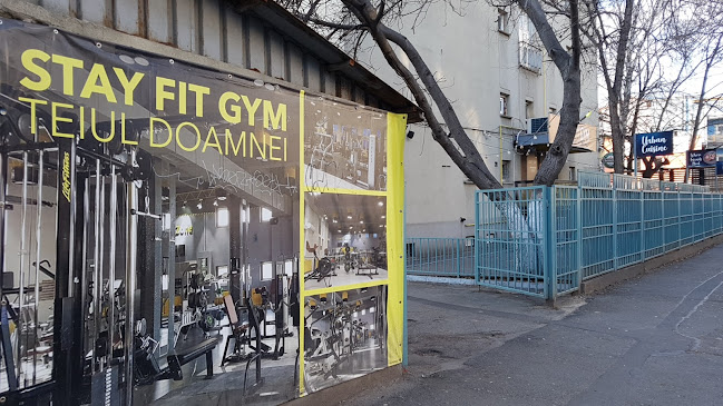 Stay Fit Gym - Teiul Doamnei - Sala de Fitness