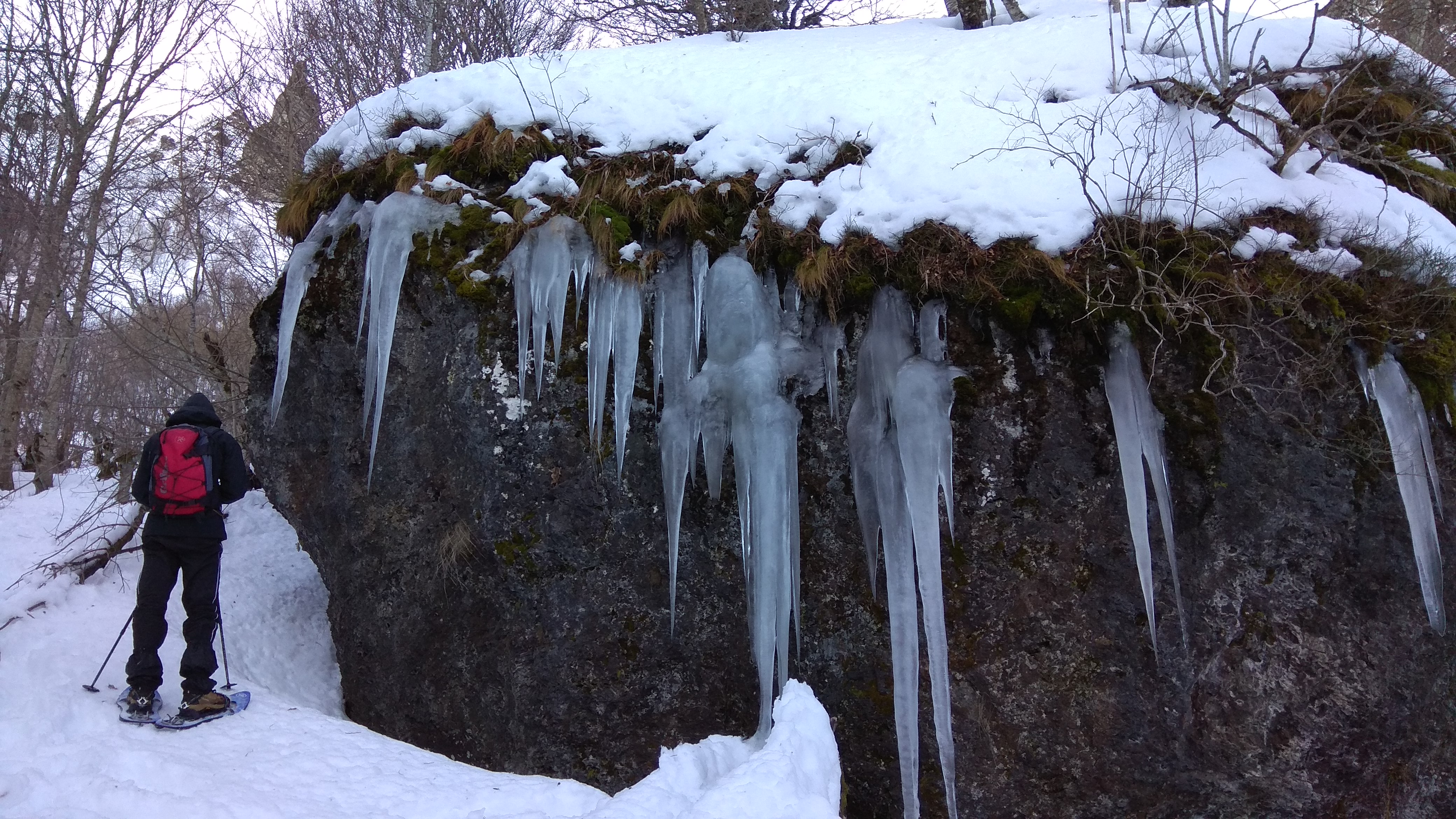 Photo n° 2 de l'avis de Patrick.E fait le 28/12/2017 à 18:13