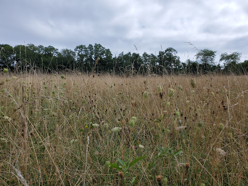 Museum «Coggeshall Farm Museum», reviews and photos, 1 Colt Dr, Bristol, RI 02809, USA