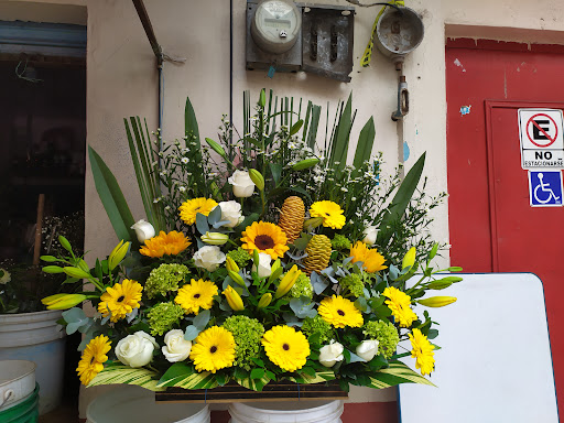 Florería MIKY – Santa María Tonanitla