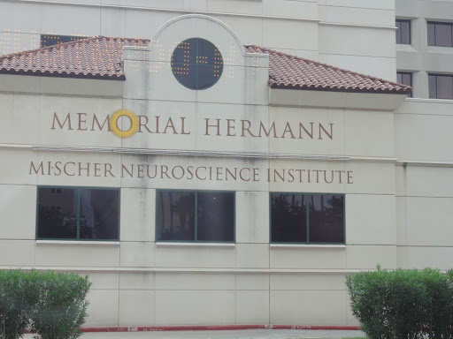 Mischer Neuroscience Institute