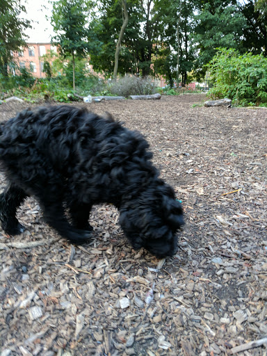 Dog Park «Waterman St. Dog Park», reviews and photos, 320 Waterman St, Providence, RI 02906, USA