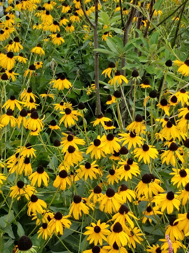 Park «Asser Levy Park», reviews and photos, 302 Sea Breeze Ave, Brooklyn, NY 11224, USA