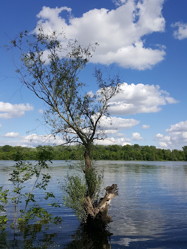 Baracsi szabadidőpark - Baracs