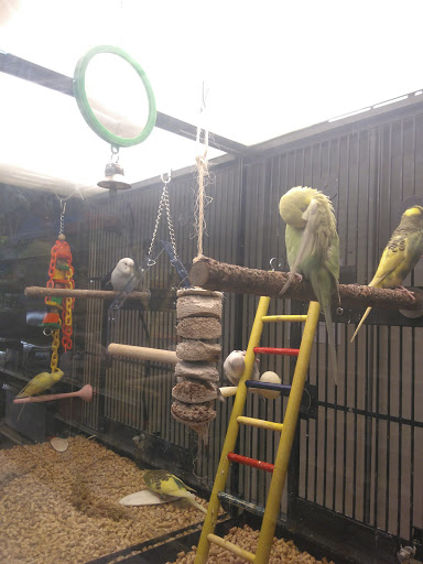 Pet Supply Store «PetSmart», reviews and photos, 5 Mystic View Rd, Everett, MA 02149, USA