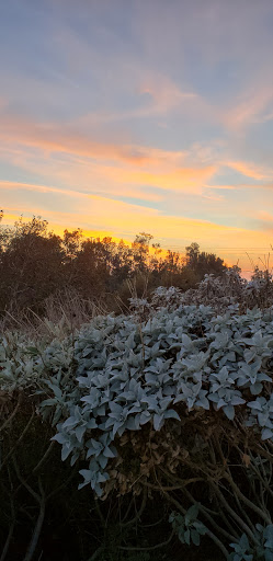 Nature Preserve «Ameal Moore Nature Center», reviews and photos, 400 Central Ave, Riverside, CA 92507, USA