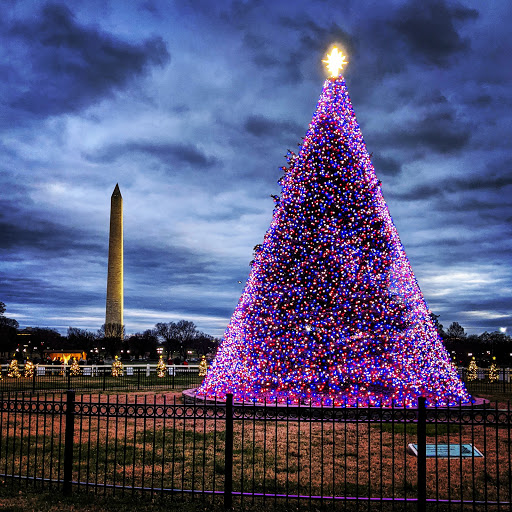 Christmas lots in Washington