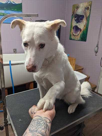 Pawsitively Stoked Pet Spa