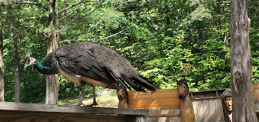 Zoo «Kentucky Down Under Adventure Zoo», reviews and photos, 3700 L and N Turnpike Rd, Horse Cave, KY 42749, USA