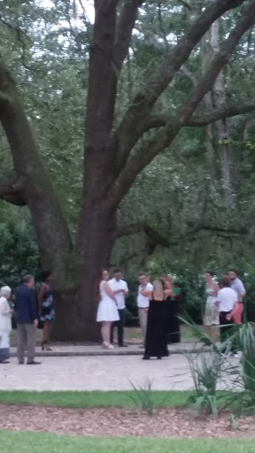 Event Venue «Bowing Oaks Plantation», reviews and photos, 7743 Alphons St, Jacksonville, FL 32256, USA