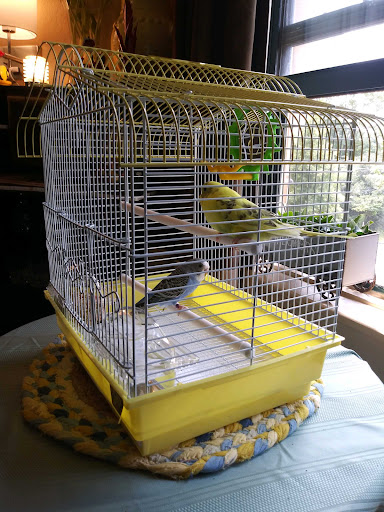 Pet Supply Store «PetSmart», reviews and photos, 17677 Haggerty Rd, Northville, MI 48168, USA