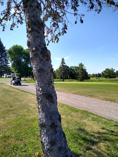 Public Golf Course «Shamrock Golf Course», reviews and photos, 19625 Larkin Rd, Corcoran, MN 55340, USA