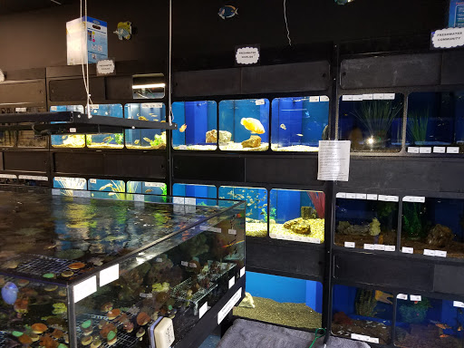 Tropical Fish Store «Glass Aquatics», reviews and photos, 542 W Harwood Rd, Hurst, TX 76054, USA