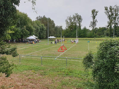 Terrain De Rugby D.HA.R à Drusenheim