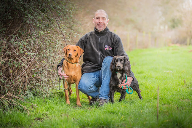 We Love Pets Swindon - Dog Walker, Pet Sitter & Home Boarder