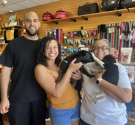 Pet Supply Store «Top Dogs Pet Boutique», reviews and photos, 2615 George Busbee Pkwy NW #14, Kennesaw, GA 30144, USA