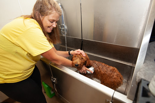 Dog Day Care Center «Pet Me Scratch Me», reviews and photos, 2551 E Main St, Onalaska, WI 54650, USA