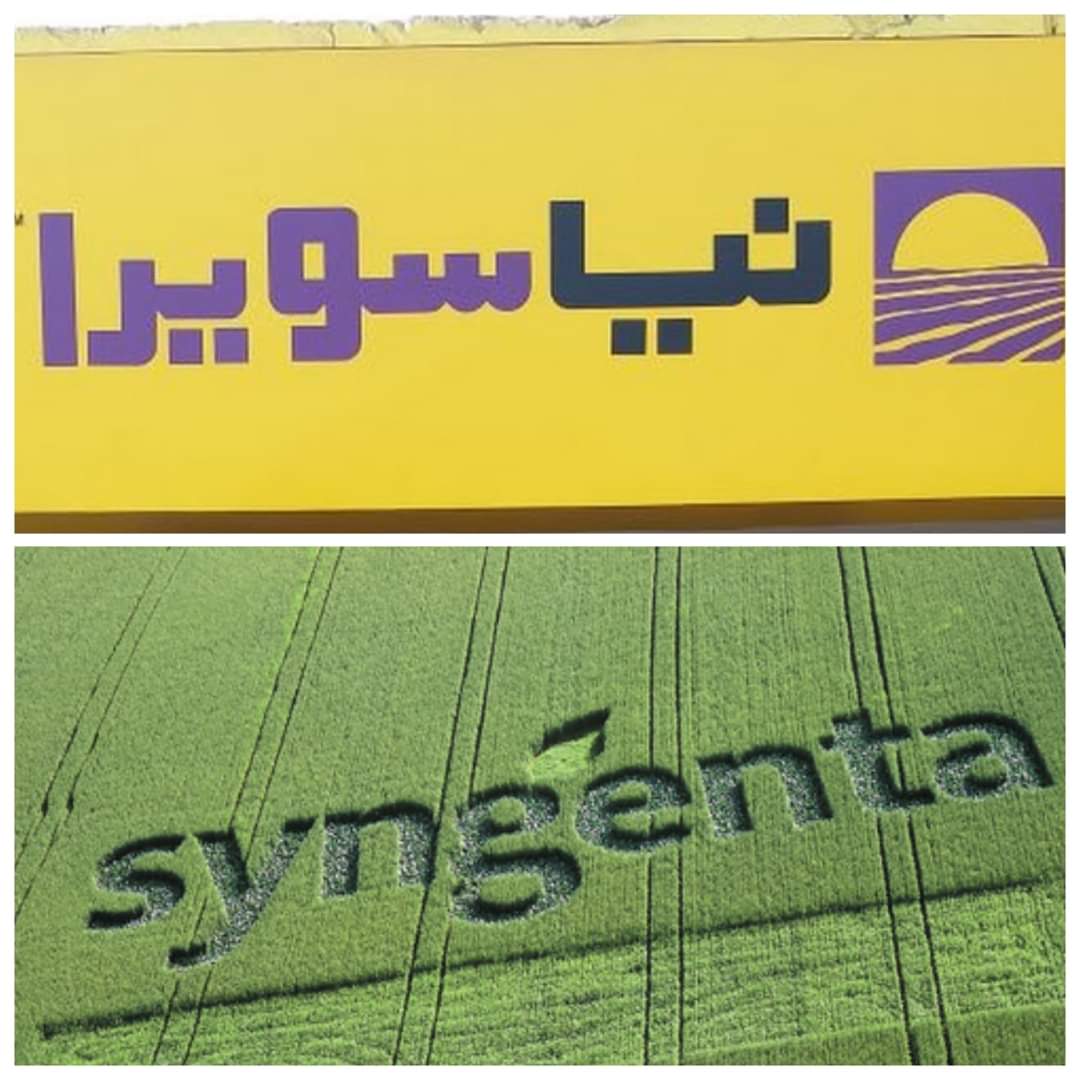 Syngenta (Naya Sawera)