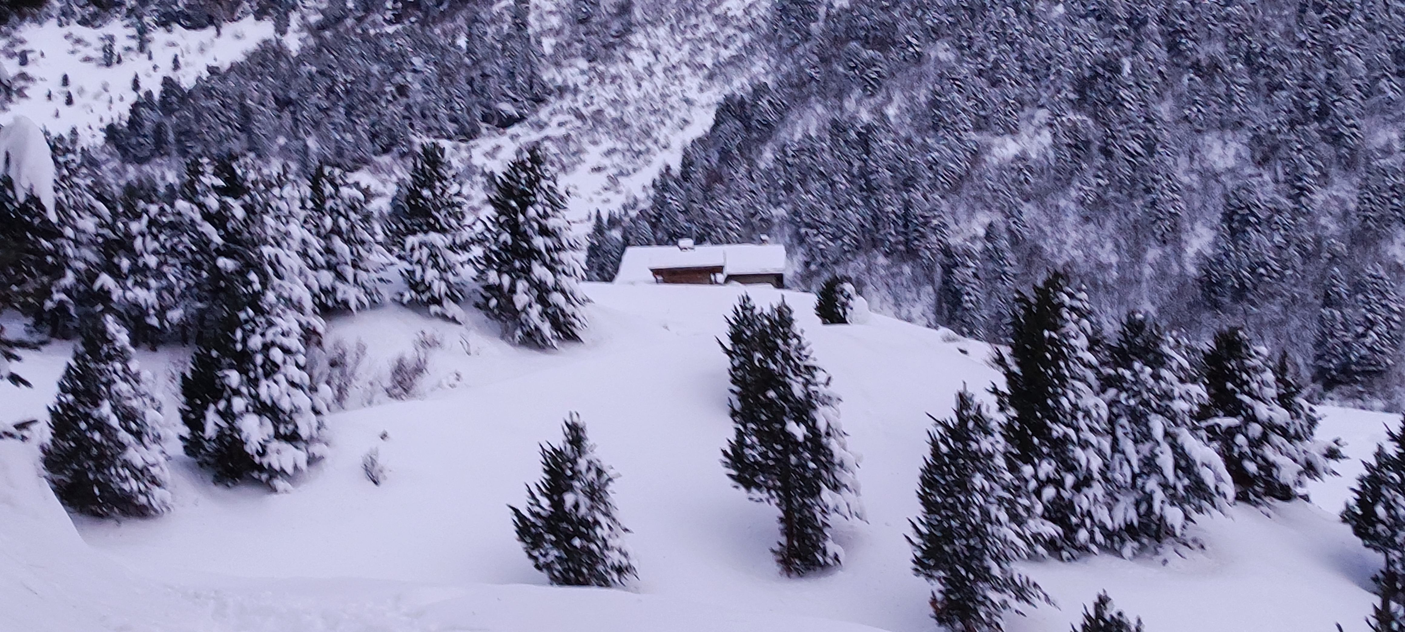 Photo n° 1 de l'avis de Nicolas.a fait le 19/01/2023 à 18:17