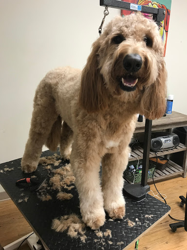 Pet Supply Store «EarthWise Pet Supply - Richardson», reviews and photos, 1310 W Campbell Rd #128, Richardson, TX 75080, USA