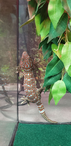 Animal Feed Store «Franklin Hardware & Pet Center», reviews and photos, 1975 Philadelphia Ave, Chambersburg, PA 17201, USA