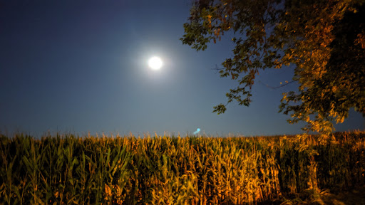 Bar «Outskirtz Bar», reviews and photos, 8384 40th Ave, Cumming, IA 50061, USA