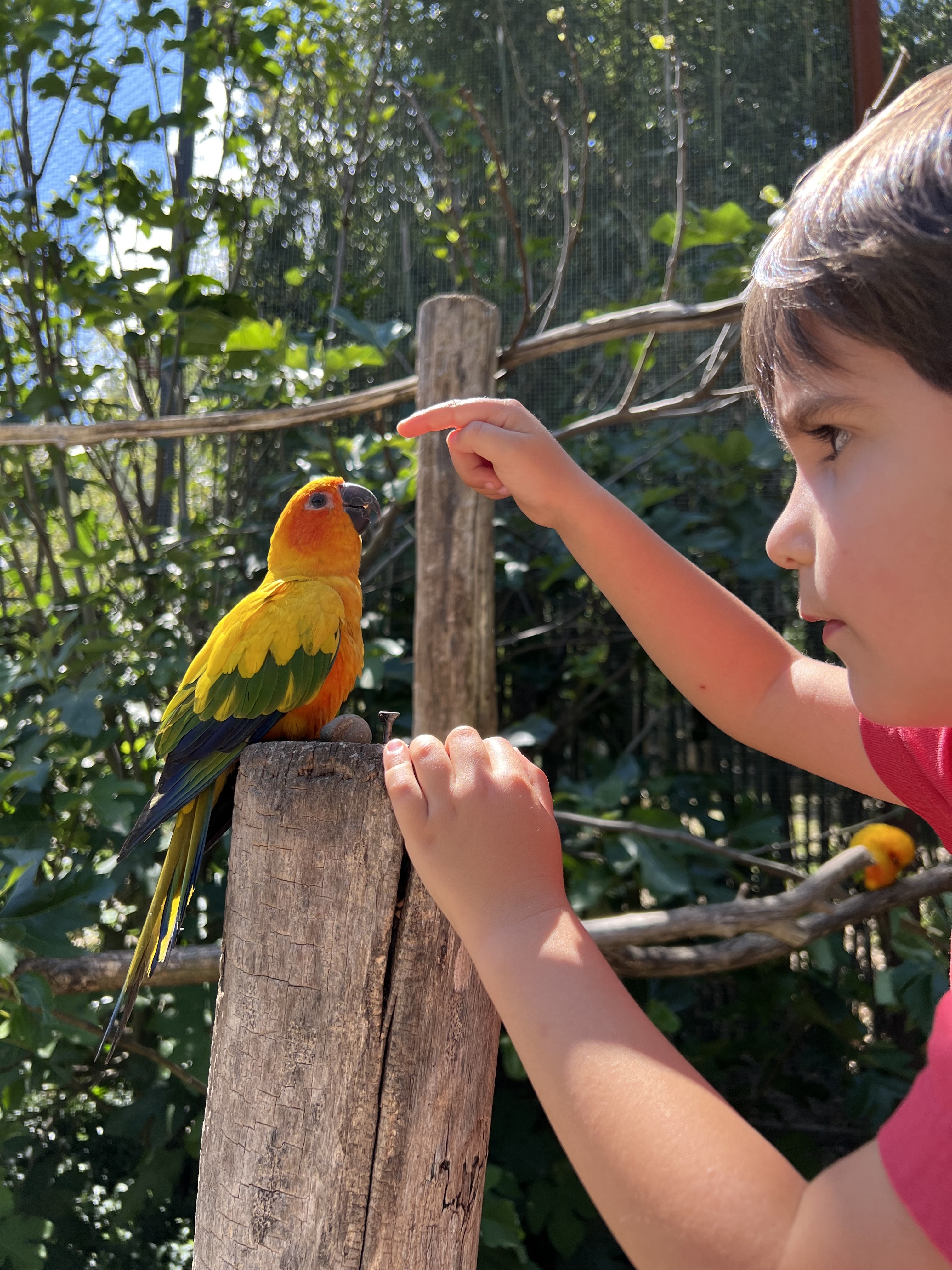 Photo n° 1 de l'avis de Fish.n fait le 11/09/2022 à 15:55