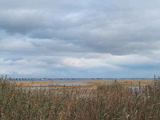 Nature Preserve «Edwin B. Forsythe National Wildlife Refuge- deCamp Wildlife Trail», reviews and photos, 365 Mantoloking Rd, Brick, NJ 08723, USA