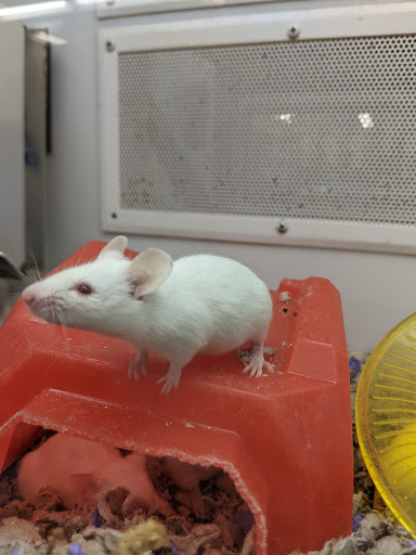 Pet Supply Store «Petco Animal Supplies», reviews and photos, 1090 Fort Union Blvd, Midvale, UT 84047, USA