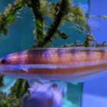 Photo n° 9 de l'avis de Andry's.a fait le 04/04/2023 à 09:59 pour Océarium du Croisic à Le Croisic