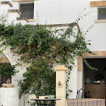 Photo n°3 de l'avis de Manuel.u fait le 17/09/2023 à 08:03 sur le  Corte Janca à Montesano Salentino