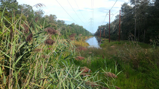 Park «Glassboro Wildlife Management Area», reviews and photos, Fries Mill Rd, Clayton, NJ 08312, USA