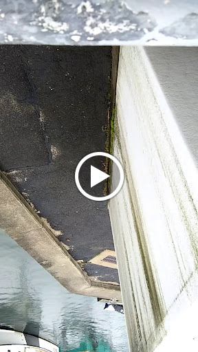 Aquarium «Woods Hole Science Aquarium», reviews and photos, 166 Water St, Woods Hole, MA 02543, USA