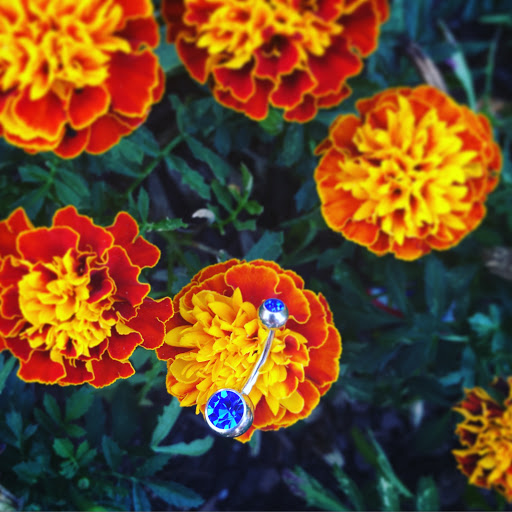 Explore dachshund tattoo ideas, creative tattoo ideas in Cary, available at Fine Art Body Piercing By Lilith Mae