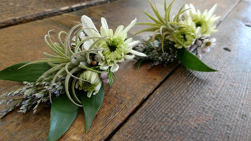 bloom & buttercup, 1900 Johnson St NE, Minneapolis, MN 55418, USA, 