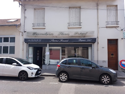 Fermetures Stores Frezet à Lyon