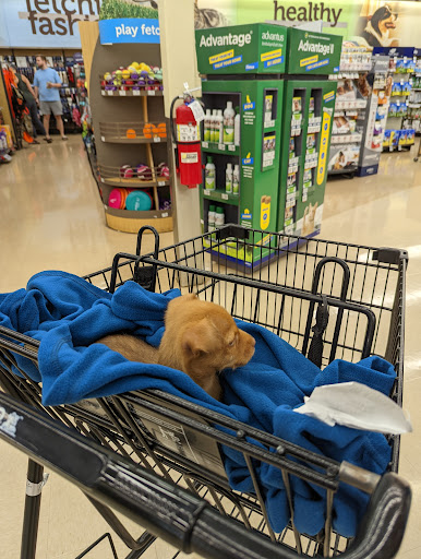 Pet Supply Store «Petco Animal Supplies», reviews and photos, 2615 Medical Center Pkwy #500, Murfreesboro, TN 37129, USA