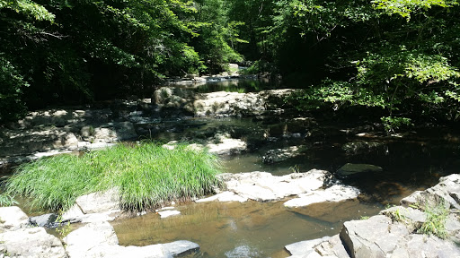 National Park «Prince William Forest Park», reviews and photos, 18170 Park Entrance Rd, Triangle, VA 22172, USA
