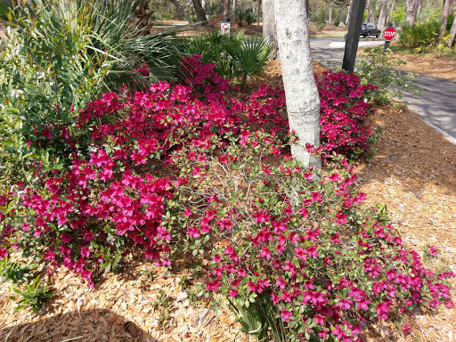 General Store «Palmetto Dunes General Store», reviews and photos, 1 Trent Jones Ln, Hilton Head Island, SC 29928, USA