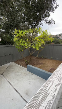 Bayleaf Lawn Care - Photo 3 - Car repair in , Oakland