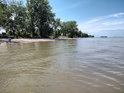 Photo de North Swimming Beach zone sauvage