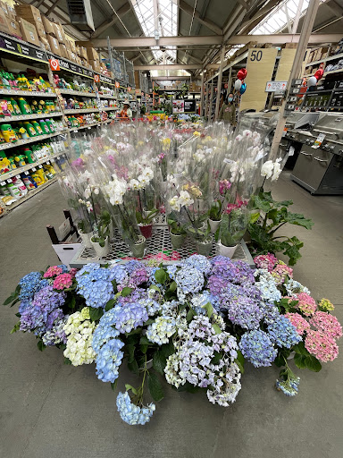 The Home Depot image